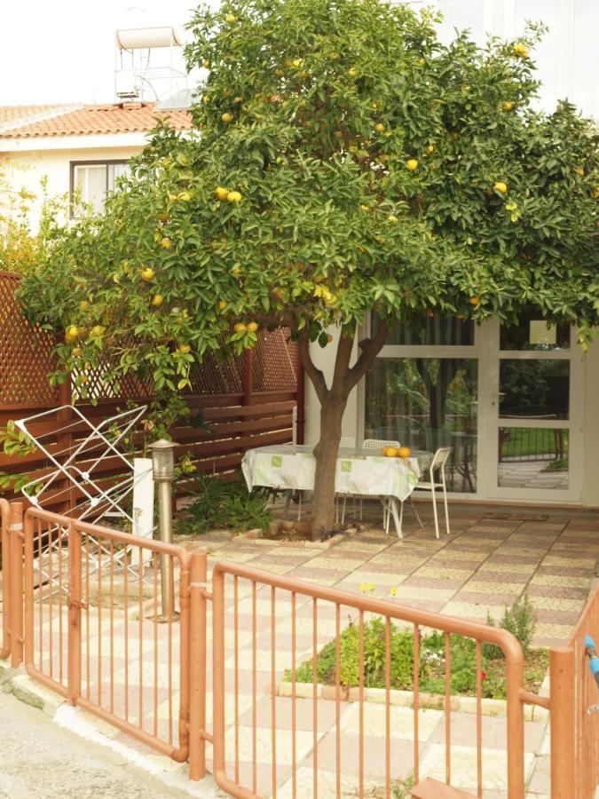 Hotel Moon-Light Studio Larnaca Exteriér fotografie