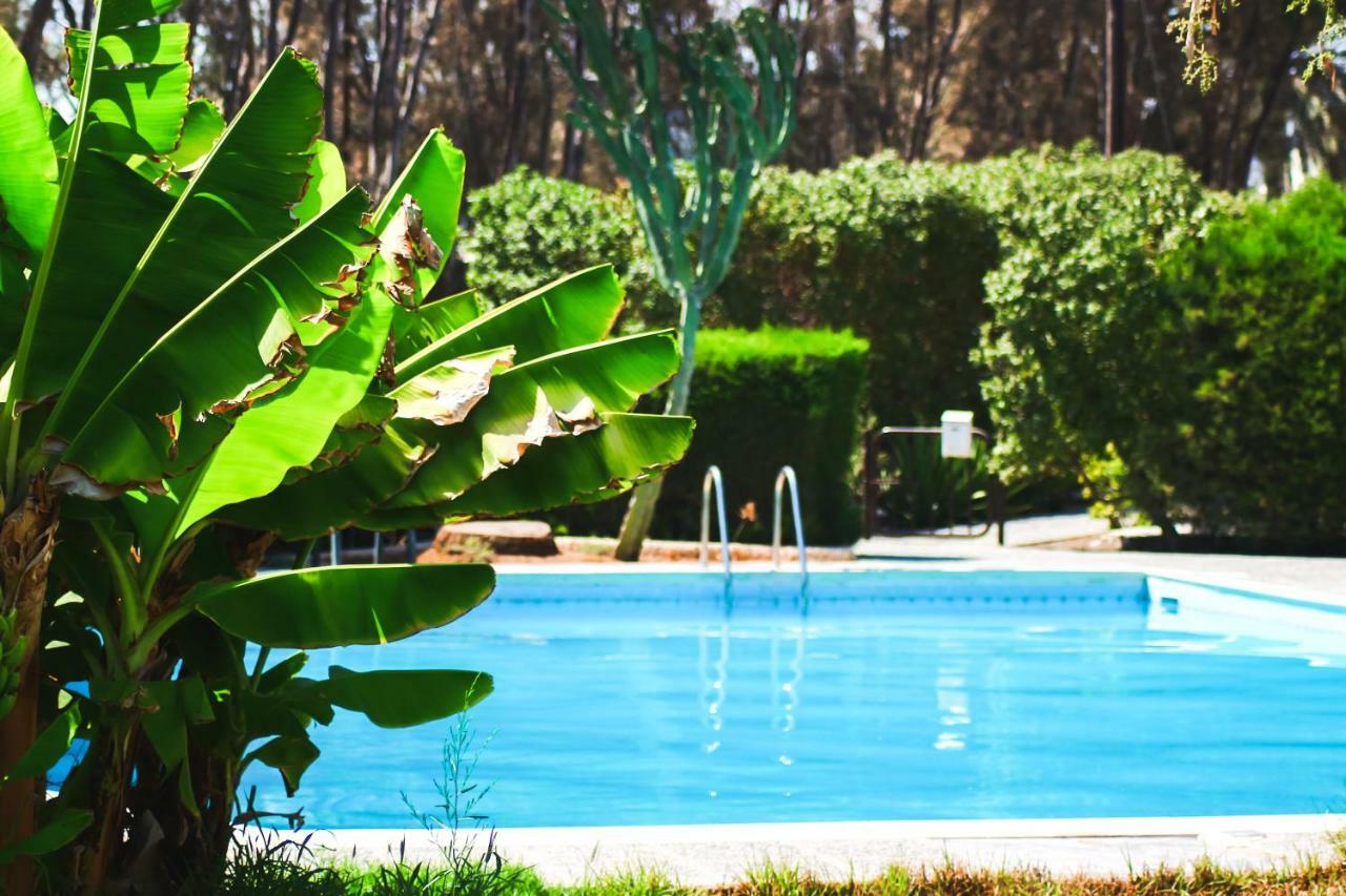 Hotel Moon-Light Studio Larnaca Exteriér fotografie